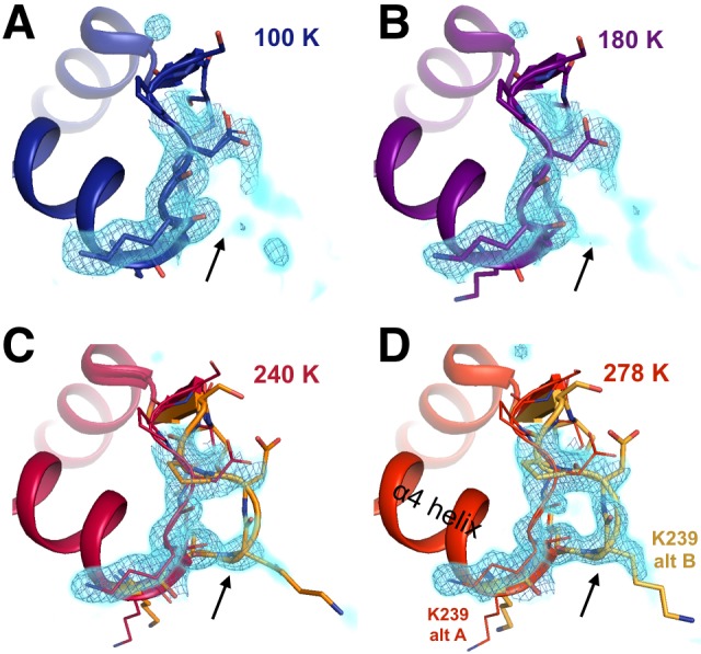 Figure 4—figure supplement 1.