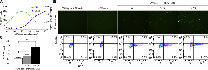 Figure 2