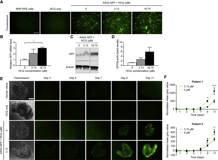 Figure 3