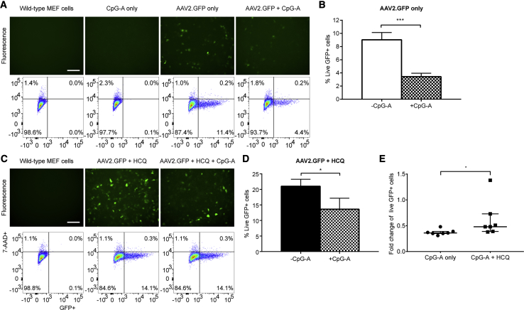 Figure 6