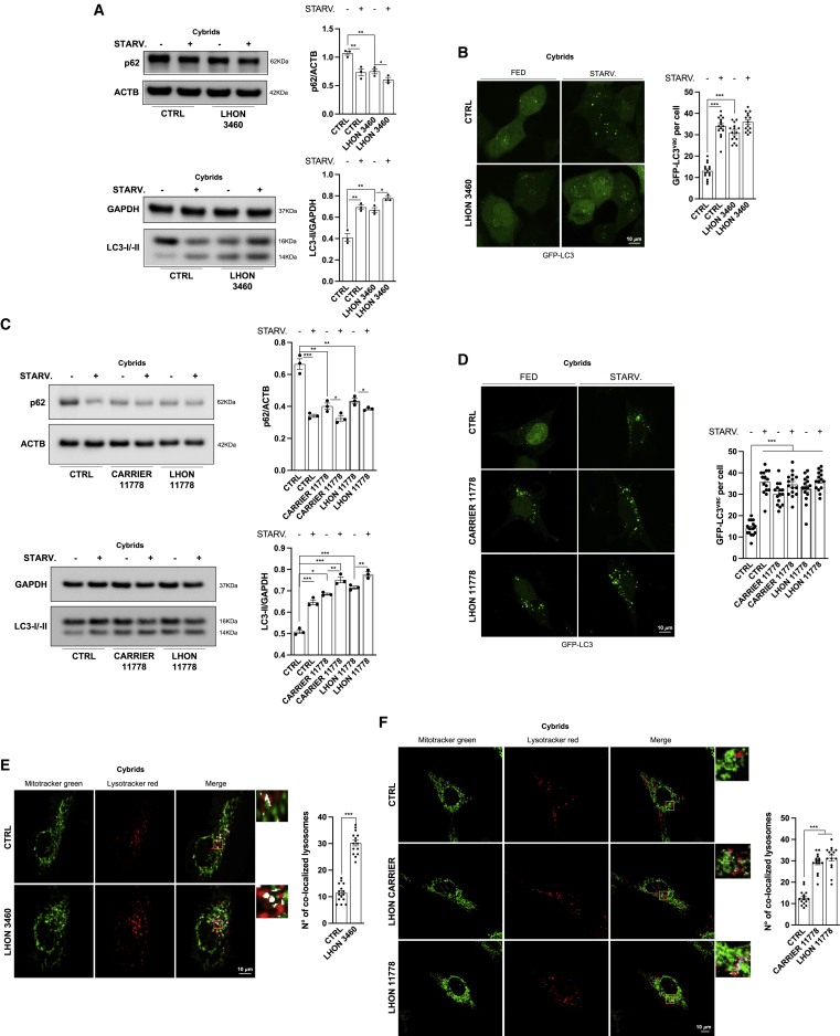 Figure 3