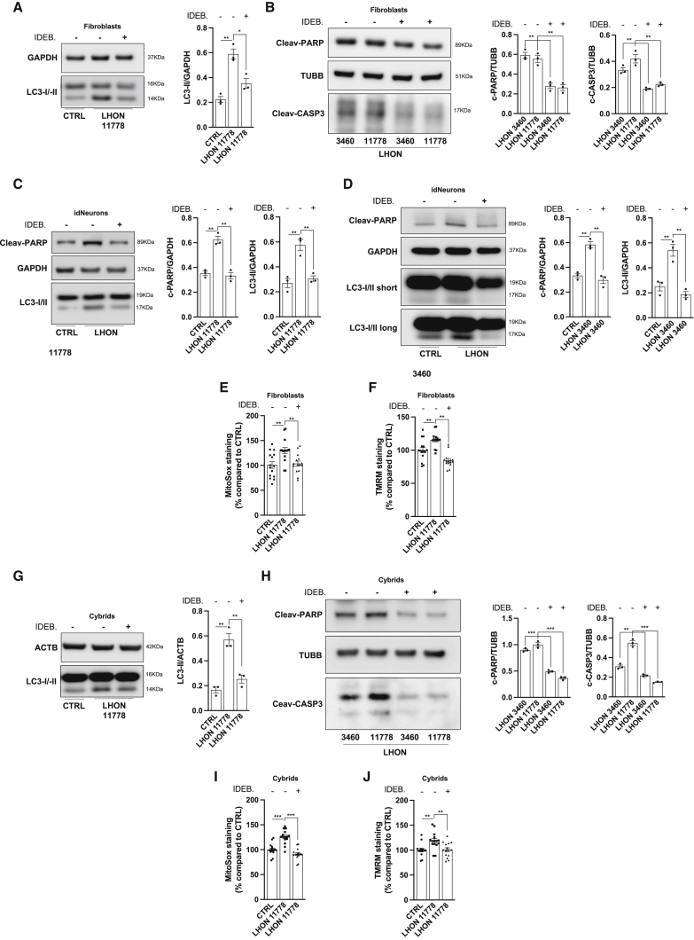 Figure 6