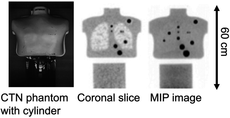 FIGURE 1.