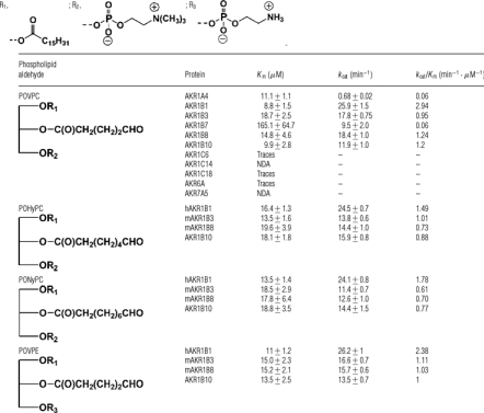 graphic file with name bic246i004.jpg