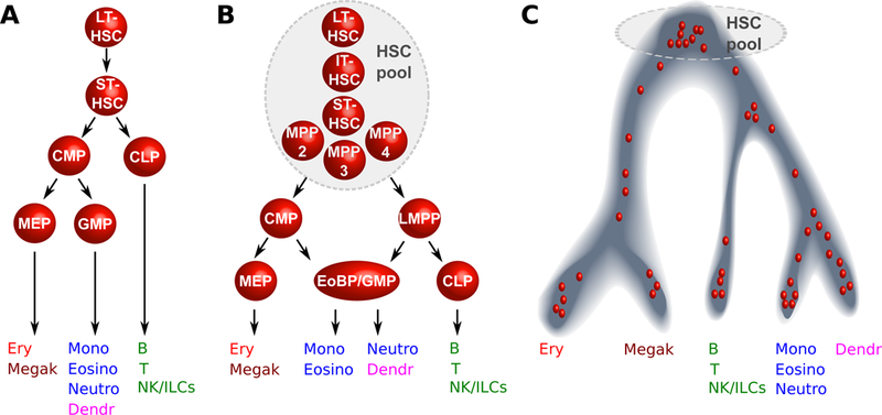 Fig.1: