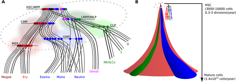 Fig.2: