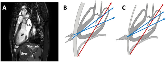 Fig 9