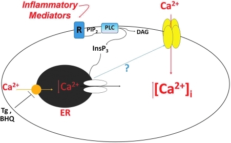 FIG. 1.