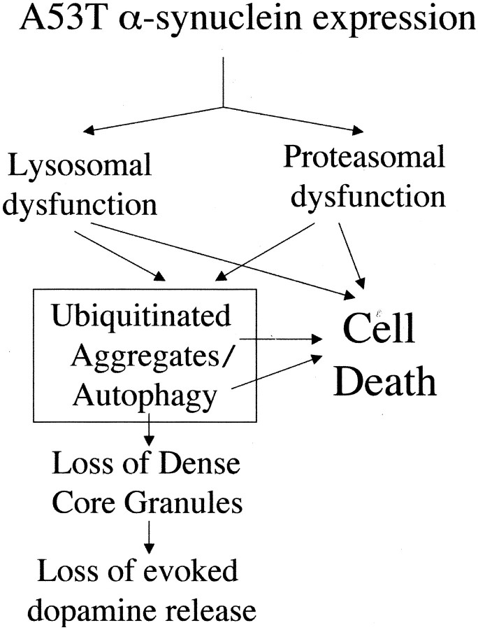 Fig. 12.