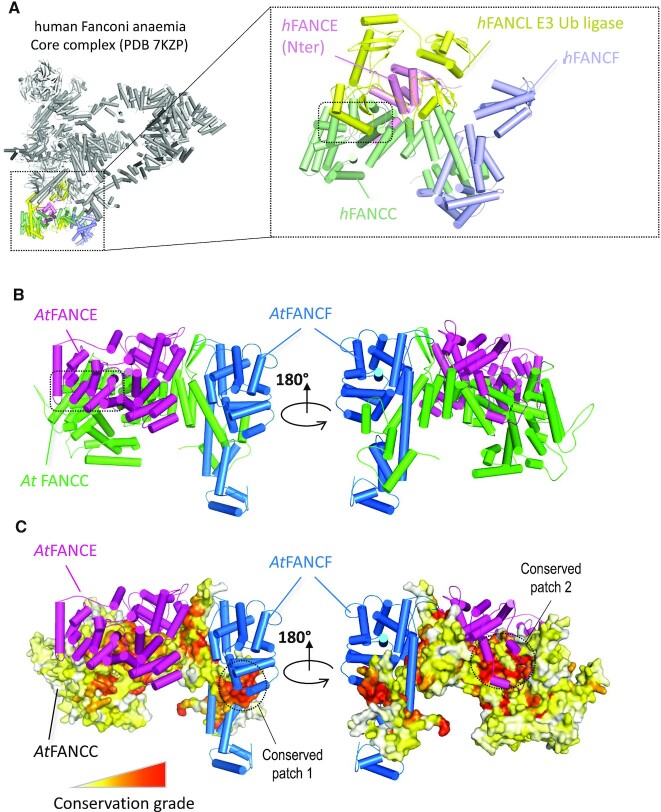 Figure 2.