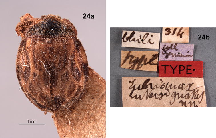 Figure 24.