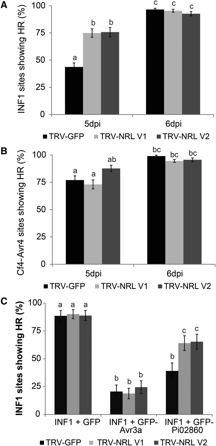 Figure 7.