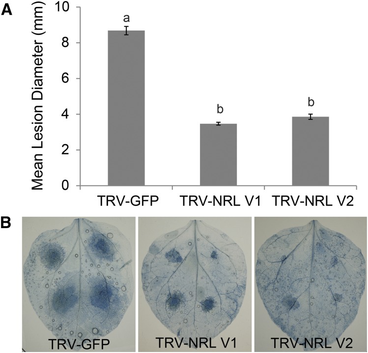 Figure 6.