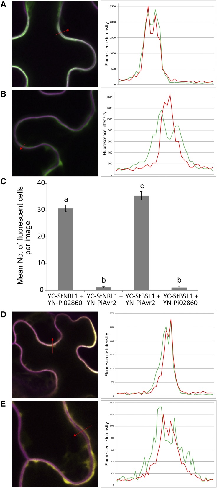 Figure 5.