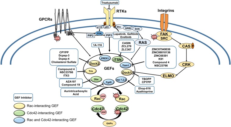 FIGURE 1