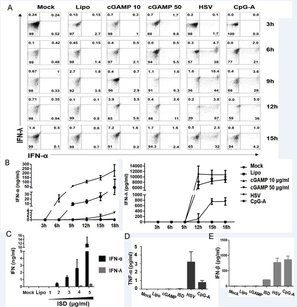 FIGURE 4.