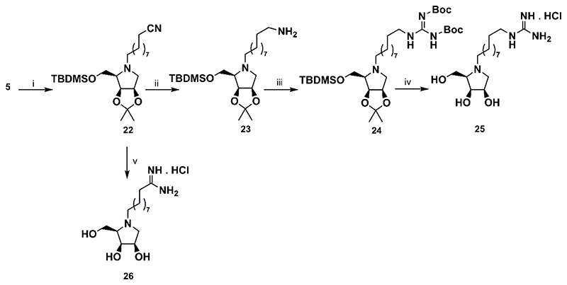 Scheme 4