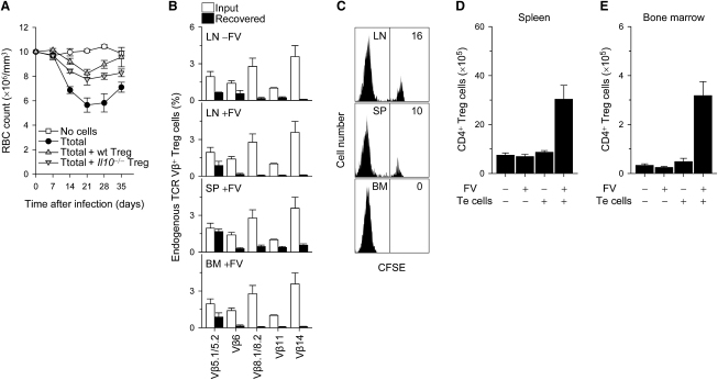 Figure 7