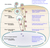 FIG. 2.