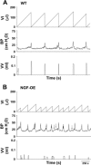 Fig. 6.
