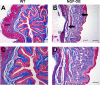 Fig. 4.