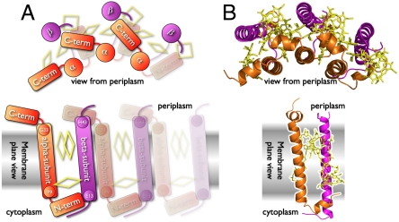 Fig. 4.