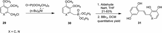 Scheme 5