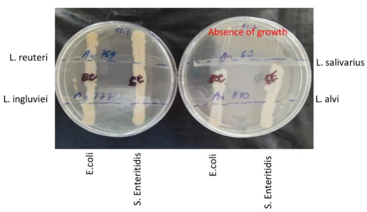 Figure 5