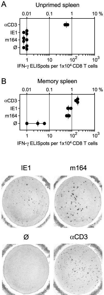 FIG. 7.