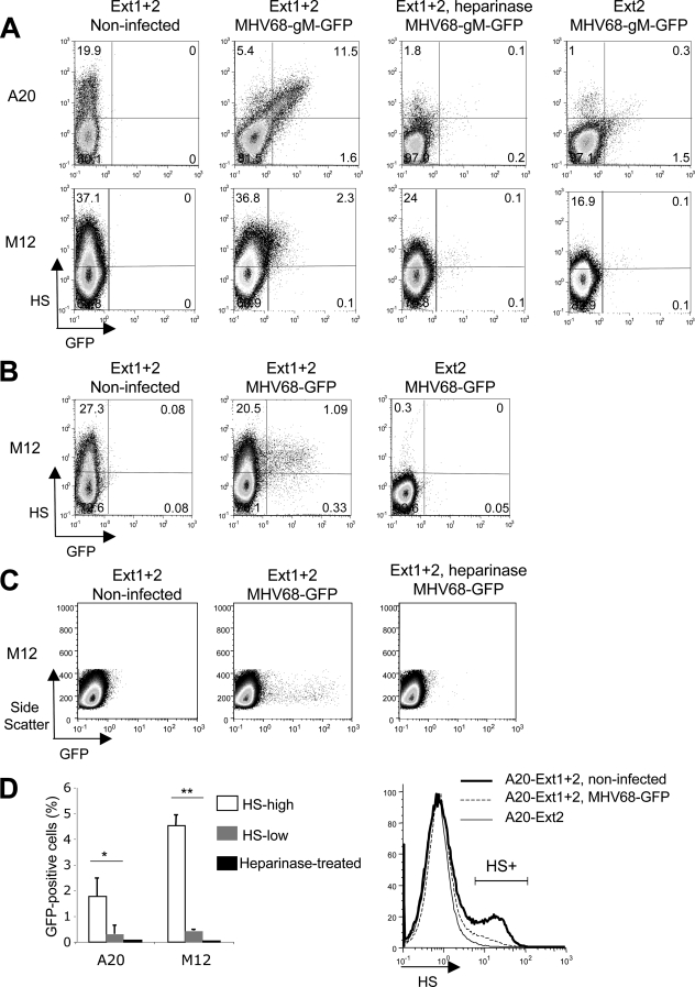 FIG. 3.