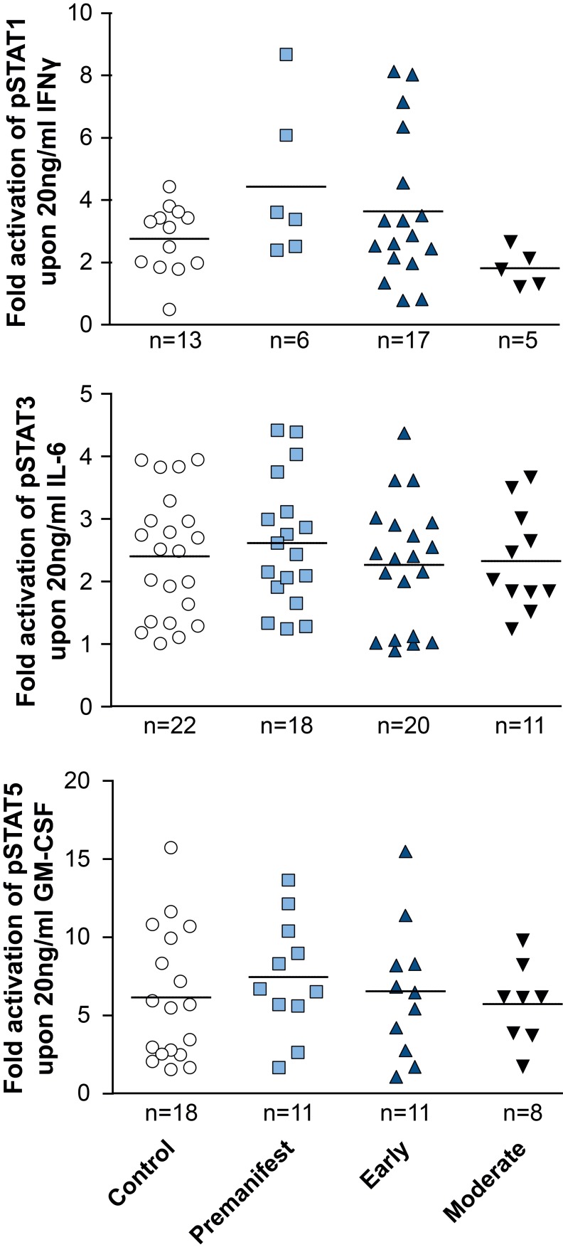 Activation of STAT signalling appears normal in HD patient monocytes. 