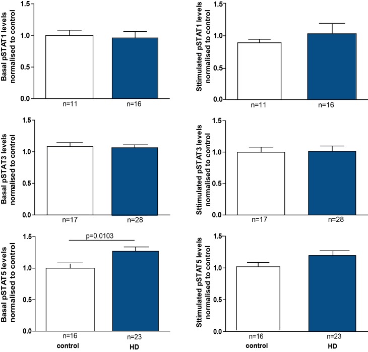 pSTAT5 levels are increased in HD patient monocytes at baseline. 