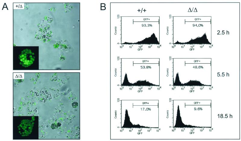 FIG. 7