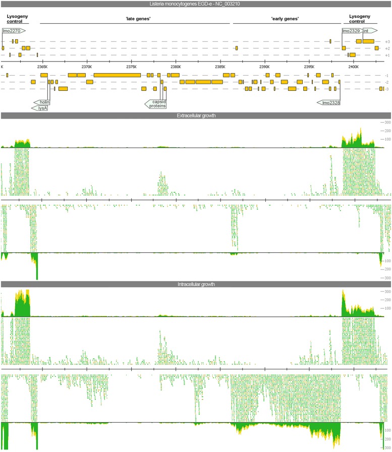 FIGURE 3