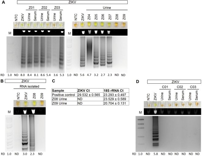 Figure 6