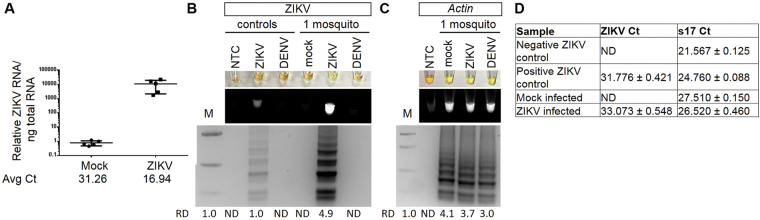 Figure 5