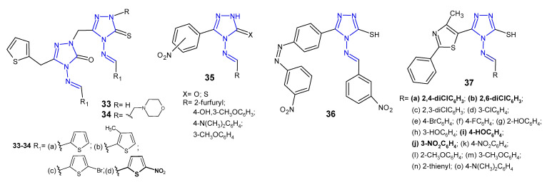 Figure 13