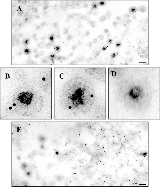 FIG.10.