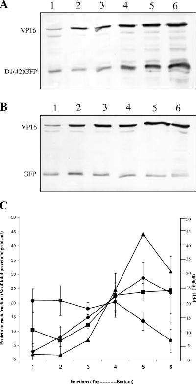 FIG. 9.