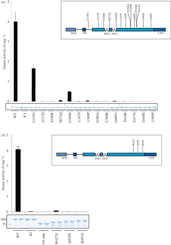 Figure 4.