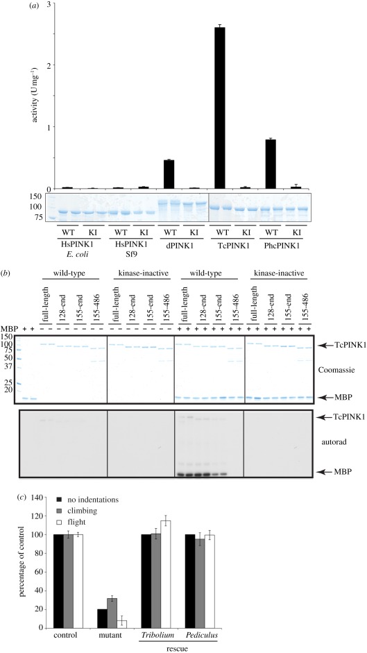 Figure 2.