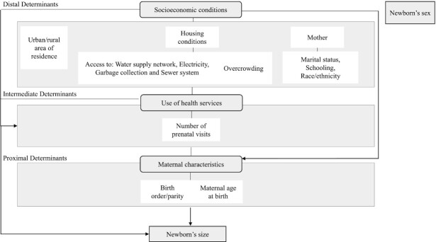 FIGURE 2