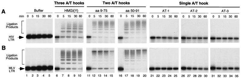 FIG. 5