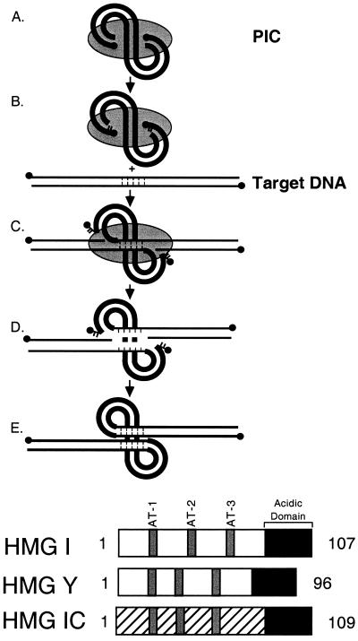 FIG. 1