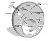 Supplementary Figure 2