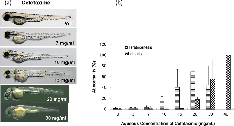 Fig 4