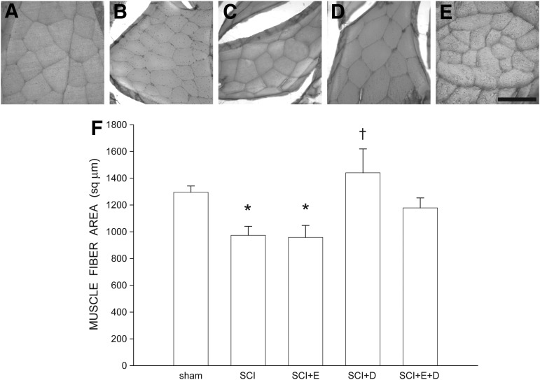 FIG. 8.