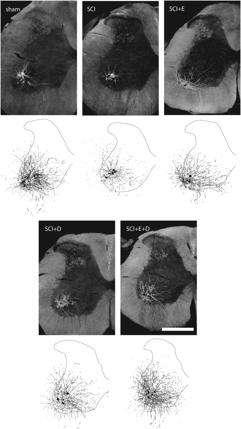 FIG. 5.