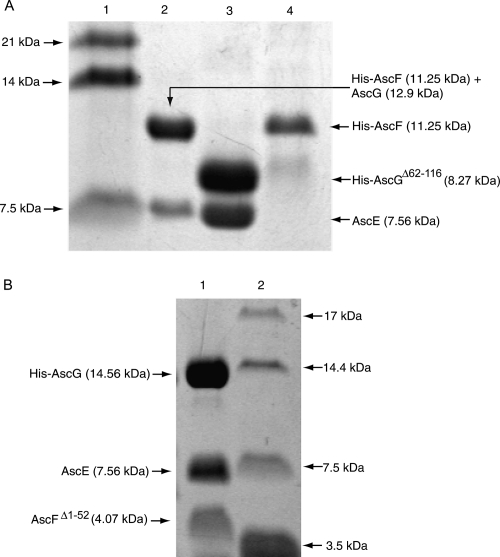 Figure 6.