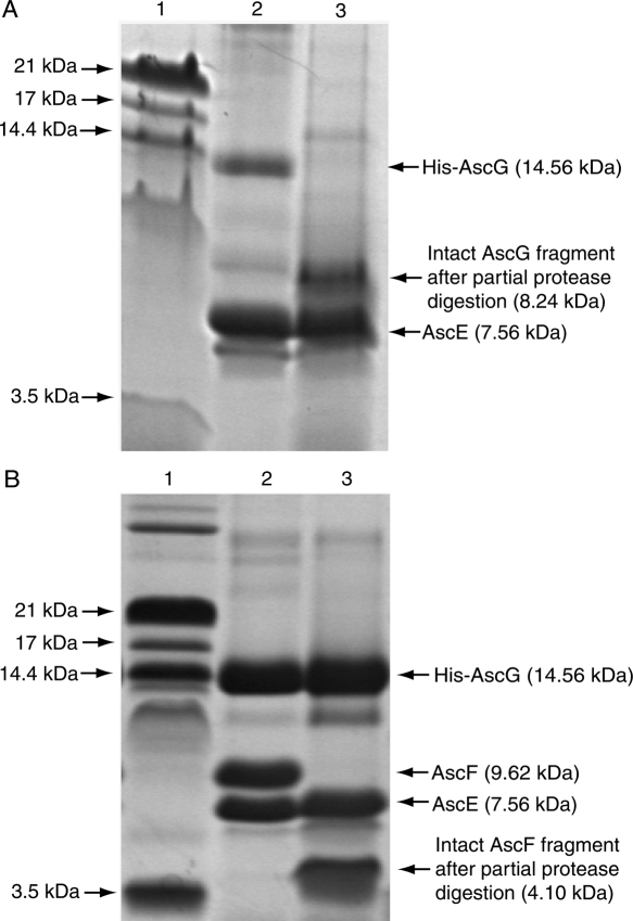 Figure 5.